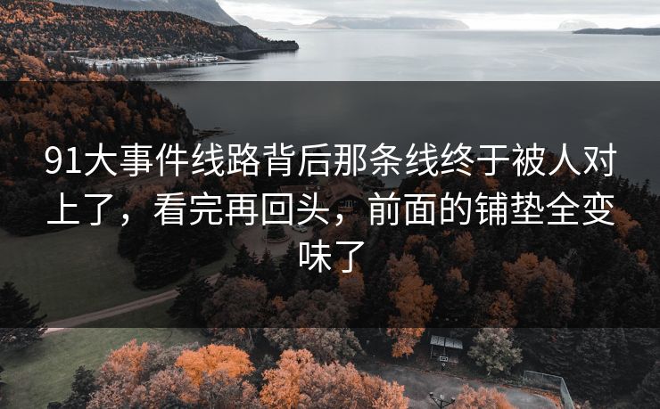 91大事件线路背后那条线终于被人对上了，看完再回头，前面的铺垫全变味了